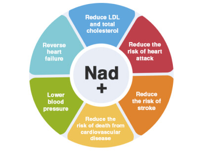 NAD Treatment Promotes Heart Health