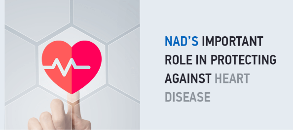 NAD’s Important Role in Protecting Against Heart Disease