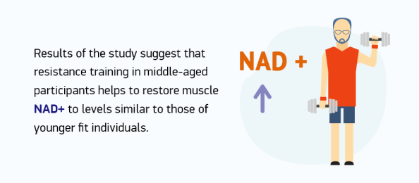 Another Study on NAD+ and Resistance Training in Middle-Aged Adults