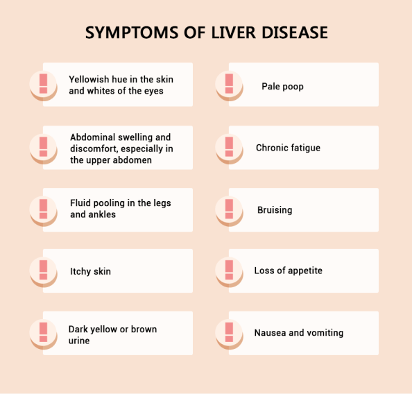 As liver damage advances, symptoms may include: