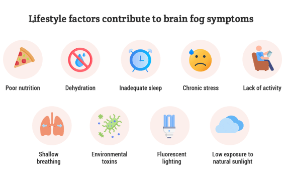 What Causes Brain Fog 2?