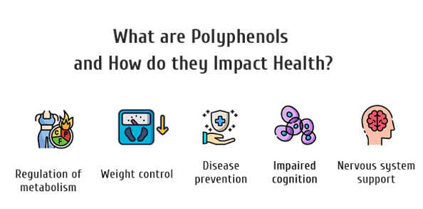 What are Polyphenols and How do they Impact Health?