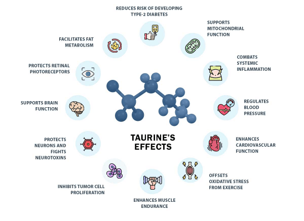Health Effects of Taurine