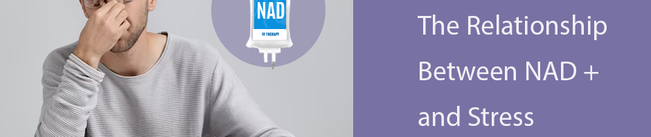 The Relationship Between NAD + and Stress