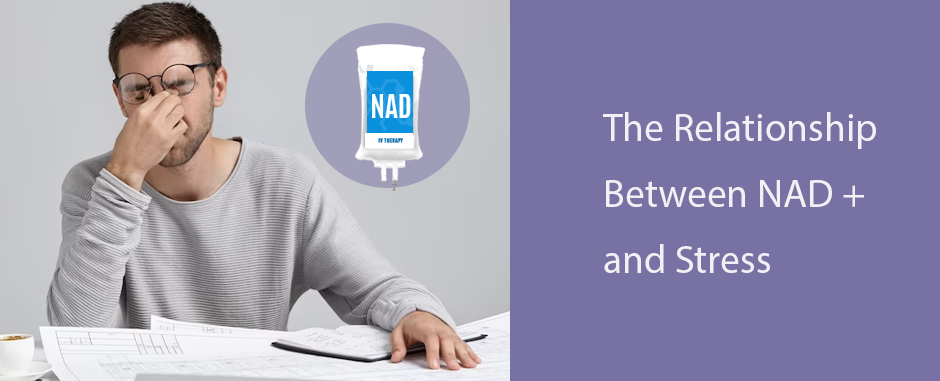 The Relationship Between NAD + and Stress