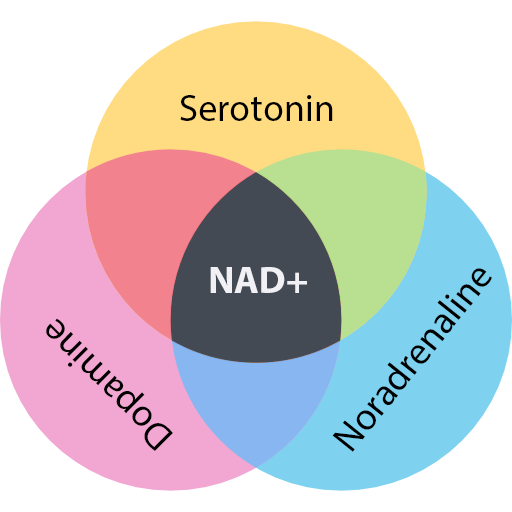 How NAD Helps Manage Stress