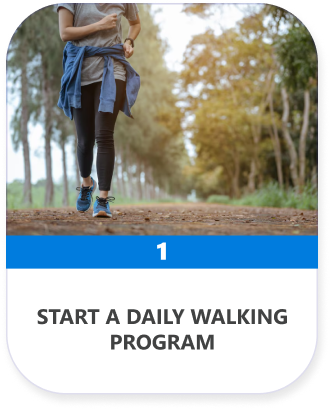 Ear Seeds for Weight Loss Guide