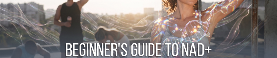 Beginner’s Guide to NAD+: How It Works